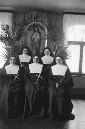 Conheça a História das Irmãs do Divino Salvador